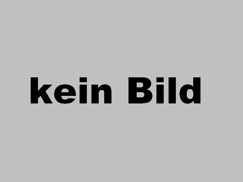 Turi Kinder Trachtenrock "Thea" mit Blümchenmuster | Hellblau