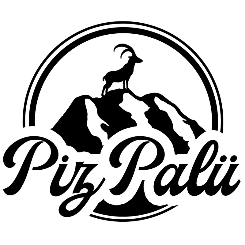 Piz Palü Herren Jacke "Tacherting" | Olivgrün